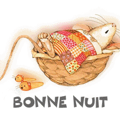 bonne nuit souris